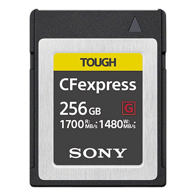 CFexpress Type B メモリーカード 256GB CEB-G256