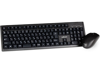 USBキーボード＆マウスコンボセット ZM-K390M Combo